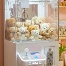 인형뽑는집 이미지