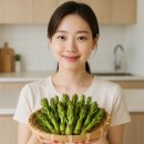 두릅 효능 부작용