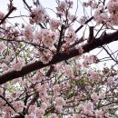 강서평생학습관 및 꿈꾸는어린이도서관 이미지