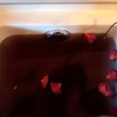 예밀촌마을 이미지