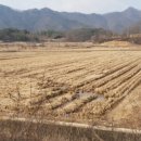 권리원공인중개사사무소 이미지