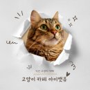 익산 고양이카페 아이캣유 이미지