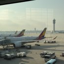 주몽베이커리 | [26.03 상하이] 상하이 3박4일 일정 공유 #01 (고덕지도 링크공유 복붙가능)