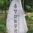 26.6.22 용정산 황토길 도전 (의사 충언) 이정표까지 이미지