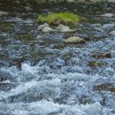 흐르는물 이미지