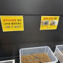 [창녕] 아이랑 가볼 만한 곳 창녕우포곤충나라