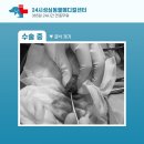 성심동물의료센터 이미지