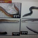 대통령 여름 보양식 이미지