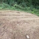 양도면-9 이미지