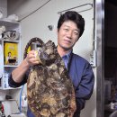 남해수중