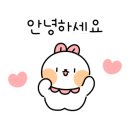(주)피터펫 이미지