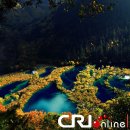 계곡속의동화 이미지