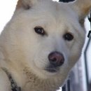 에덴광고사 - 문경시 | 에덴광고사
