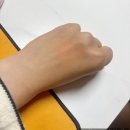 낑깡이랑 | 스튜디오17 듀오 실리콘 브러쉬로 에이오유 낑깡볼 발라본 내돈내산 후기