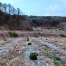 우경농장 이미지