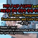 [PMP/PMI-ACP/CAPM] 2024 프로젝트매니지먼트 국제 자격증 시험 대비 강의 - 1강 (Domain 1 - Task 1) 이미지