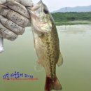 청도천7 이미지