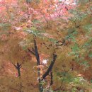 청명중학교 이미지