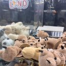 와우 오락실 이미지