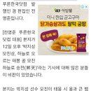 푸른한국닷컴 박지성 모친상관련기사 해명 이미지