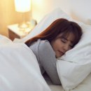 건강초음파 이미지