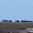 [제주도, 언어의 갈라파고스 20] 2부 한라산-(16) 백록담은 ‘노르’ 중 최동단 이미지