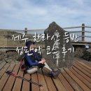 광령3급정비센타 | 제주 한라산 등산 난이도 낮은 성판악 코스로 백록담, 주차 꿀팁