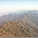 중앙레스파 이미지