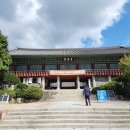 모악캠프 | 보리수 나무 아래 모인 4대 종교 / 김제 금산사 / 세계종교문화축제 청년평화캠프