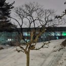 순리대로 이미지