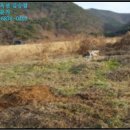 벌말목장 이미지