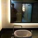 coco puppy 이미지