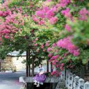 고려동유적지 이미지