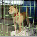 벼리약국 이미지