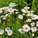 정도전길 이미지