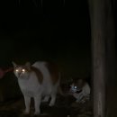 (주)아이콘온 이미지