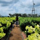 블랜드미(BLENDMI) 이미지