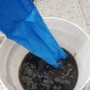 금왕약국 네이버블로그