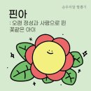 핀아