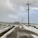 대정환승정류장 이미지