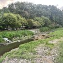 머물다삼포 이미지