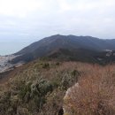 금화고속관광 이미지