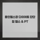 단단짐 이미지