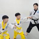 남도 태권도장 이미지