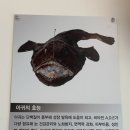 통통아구찜 | [경기/시흥]거북섬 통통하고 쫄깃한 아구찜 맛집 <거북섬 홍어아귀점문점> 내돈내산 후기