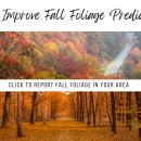 The 2025 Fall Foliage Map 이미지