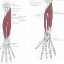 심지한의원 이미지