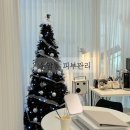 광주 운암동 피부관리샵 방문 후기 데콜테 두피 바디 맞춤 케어 원바이시안