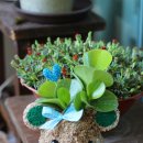 한려초교병설유치원 이미지