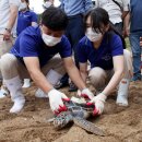 거북호텔 이미지